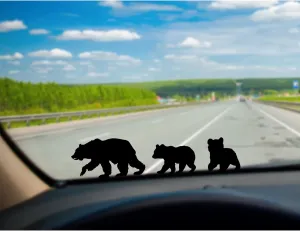 5pcs Bear Family Windshield Sticker Decal for Car Truck Bumper Window Vehicles (9x2.5)