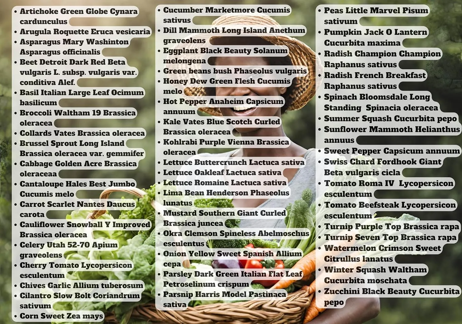 B&KM Farms 30,000  Survival Seed Kit 5  Year Supply. 50 Fruit & Vegetable Non-GMO Heirloom Seeds for Planting a Home Garden. Secure Emergency Weather-Proof Package(1, Large)