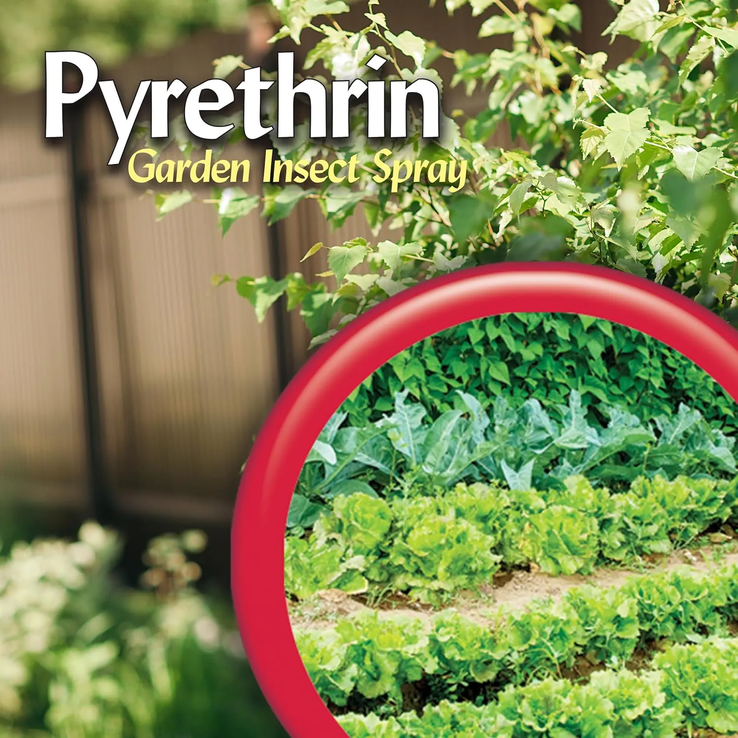 Bonide Pyrethrin Garden Insect Spray Concentrate, 8 oz Ready-to-Mix Fast Acting Insecticide for Outdoor Garden Use