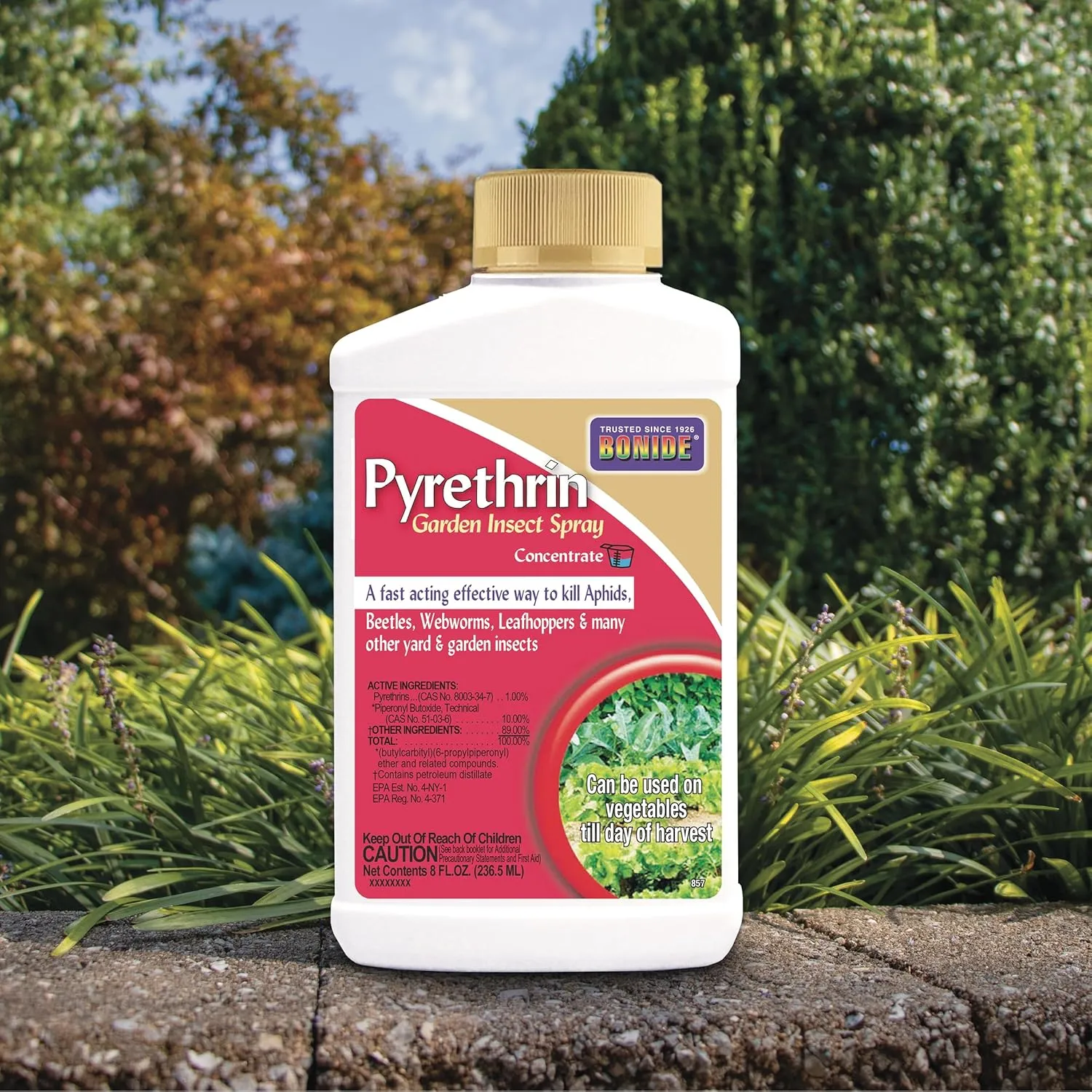 Bonide Pyrethrin Garden Insect Spray Concentrate, 8 oz Ready-to-Mix Fast Acting Insecticide for Outdoor Garden Use
