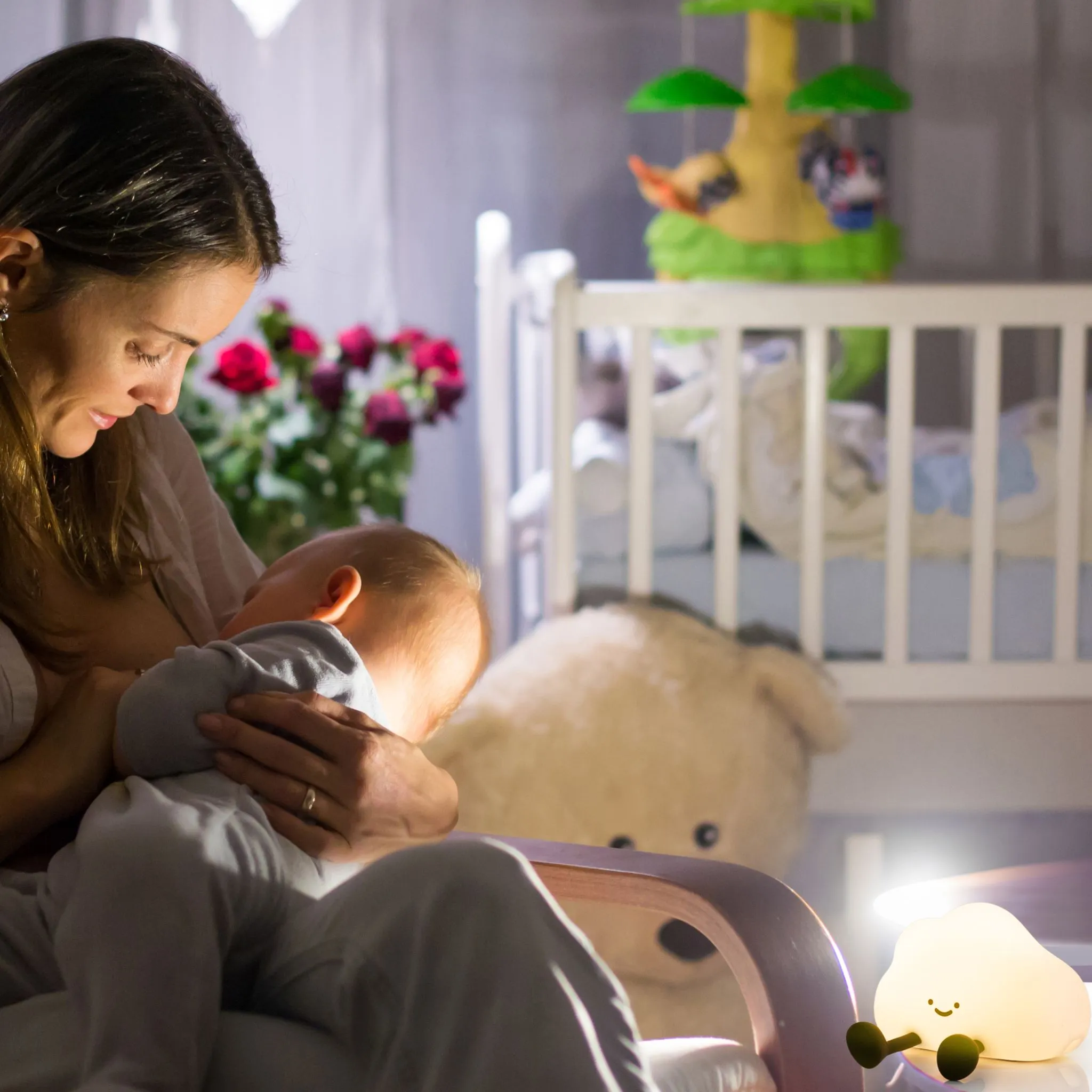 Cloud LED Night Light USB Rechargeable Animal Touch Control Lamp