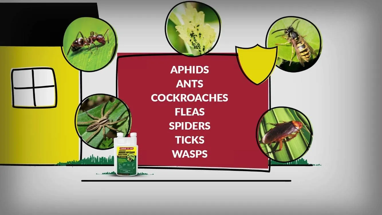 Compare-N-Save Concentrate Indoor and Outdoor Insect Control, 16-Ounce