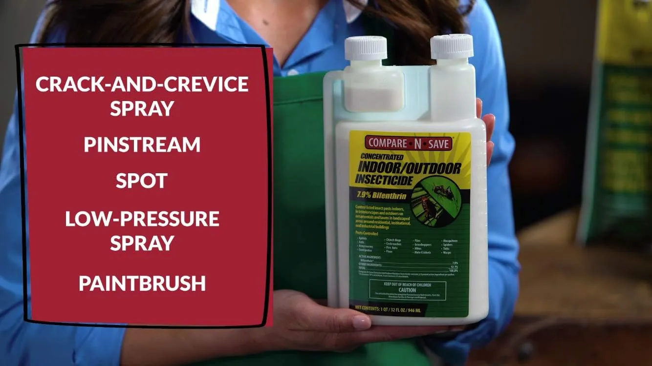 Compare-N-Save Concentrate Indoor and Outdoor Insect Control, 16-Ounce