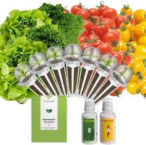 inbloom Organic Salad Green Seed Pod Kit for AeroGarden, Ahopegarden Hydroponics Growing System, Low-Calorie Food, 7-Pods (350  Seeds, Include Fast and Butter Lettuce, Red and Golden Cherry Tomato)