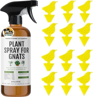Kate's Home & Garden Plant Spray for Insects & Getting Rid of Gnats with 12 Sticky Traps. Fungus Gnat Killer & Bug Spray for Indoor Plants (16oz, Pet Safe, Non Toxic)