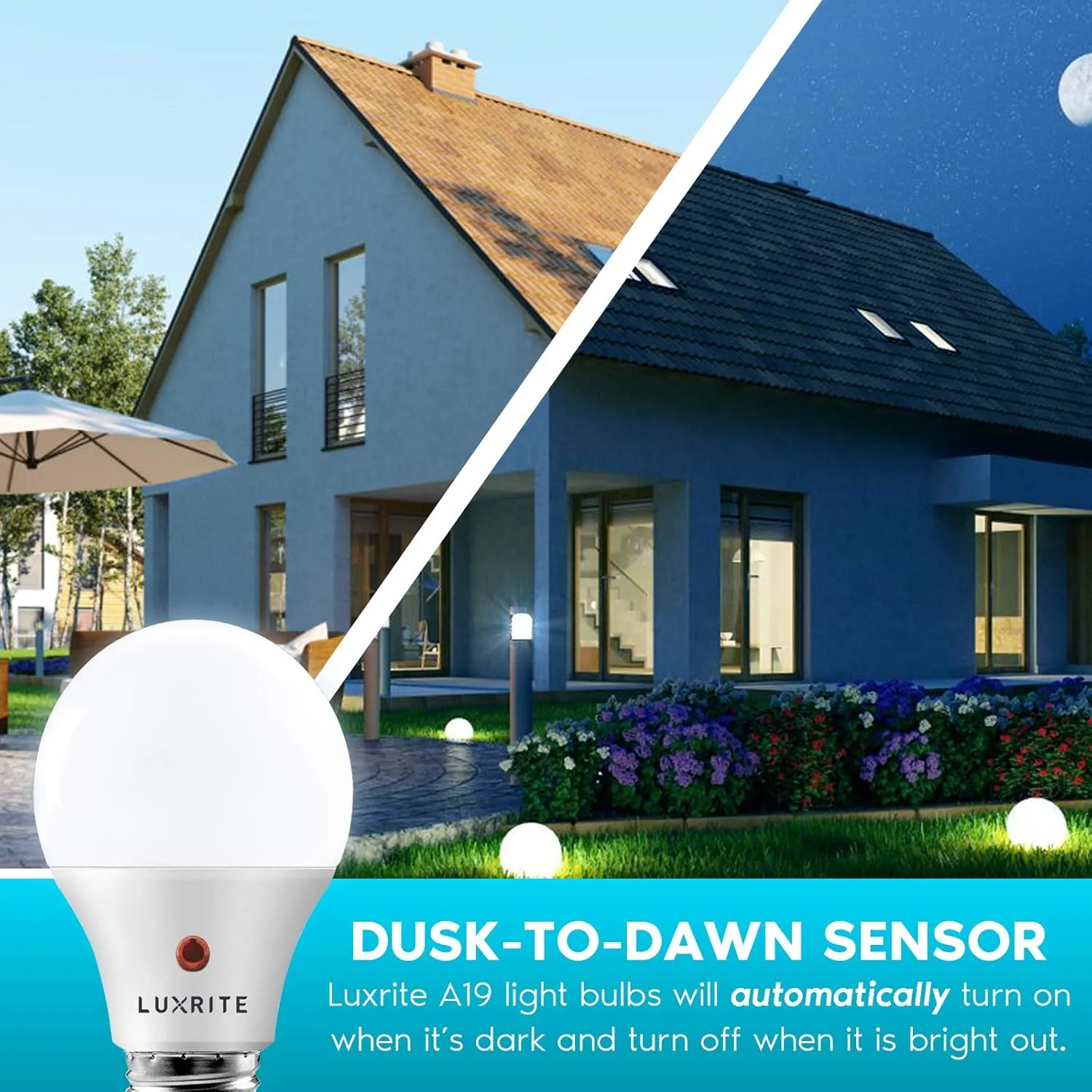 LUXRITE A19 LED Dusk to Dawn Light Bulbs Outdoor Lighting, 60 Watt Equivalent, Enclosed Fixture Rated, Automatic On Off Sensor, 5000K Bright White, 800 Lumens, Damp Rated, E26 Base (4 Pack)