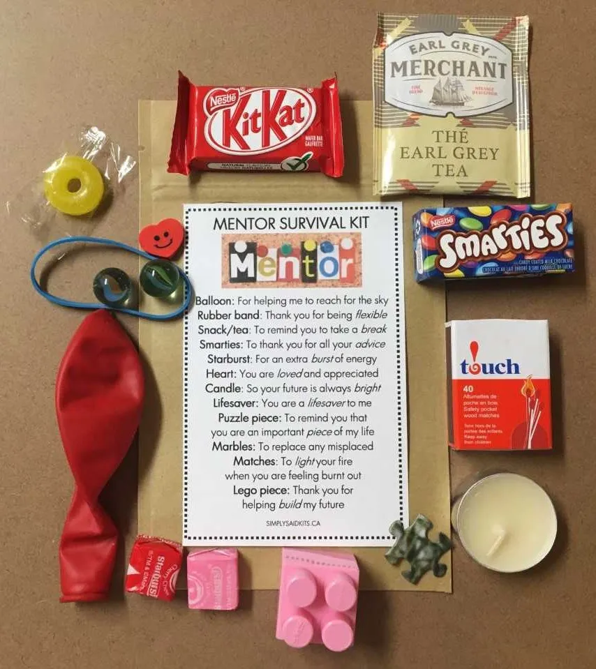 Mentor Survival Kit