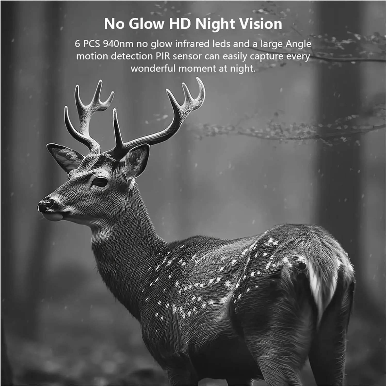 Outdoor Wildlife 7800mAh Battery 4MP 5W Motion Activated Trigger Waterproof Hunting Trail Camera 4G with Night Vision(4G EU Band 64G)