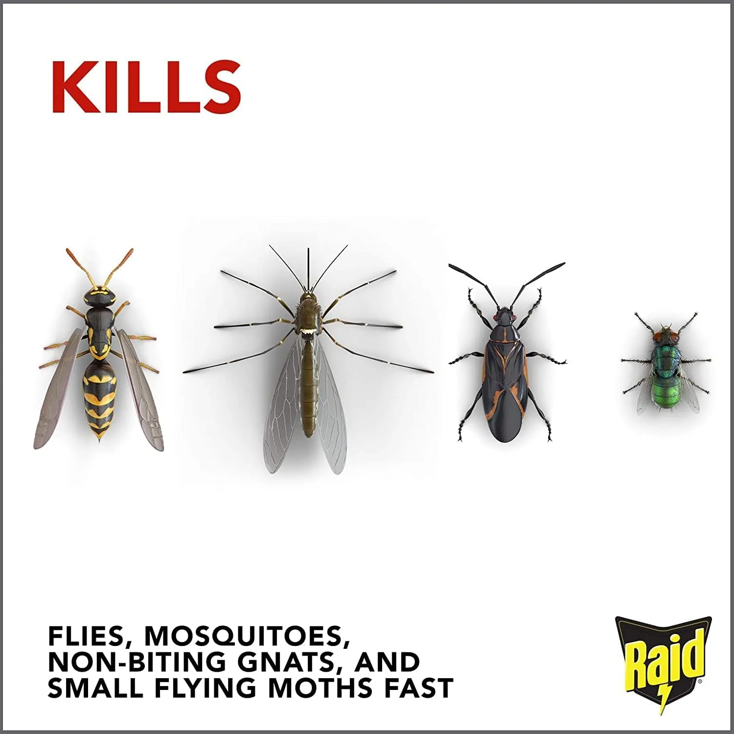 Raid Flying Insect Killer 15 Ounce (Pack of 2)