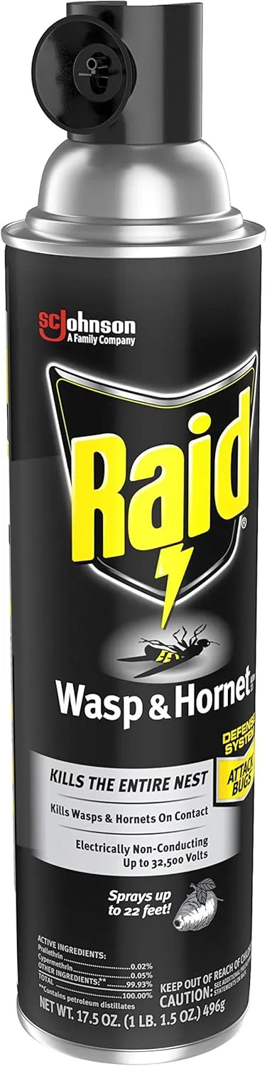 Raid Wasp and Hornet Killer Variation (17.5 Ounce (Pack of 6))