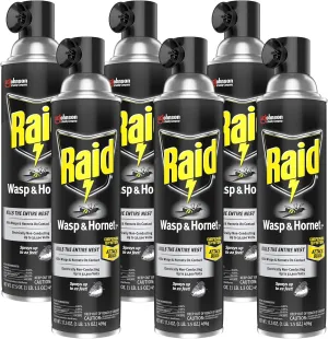 Raid Wasp and Hornet Killer Variation (17.5 Ounce (Pack of 6))