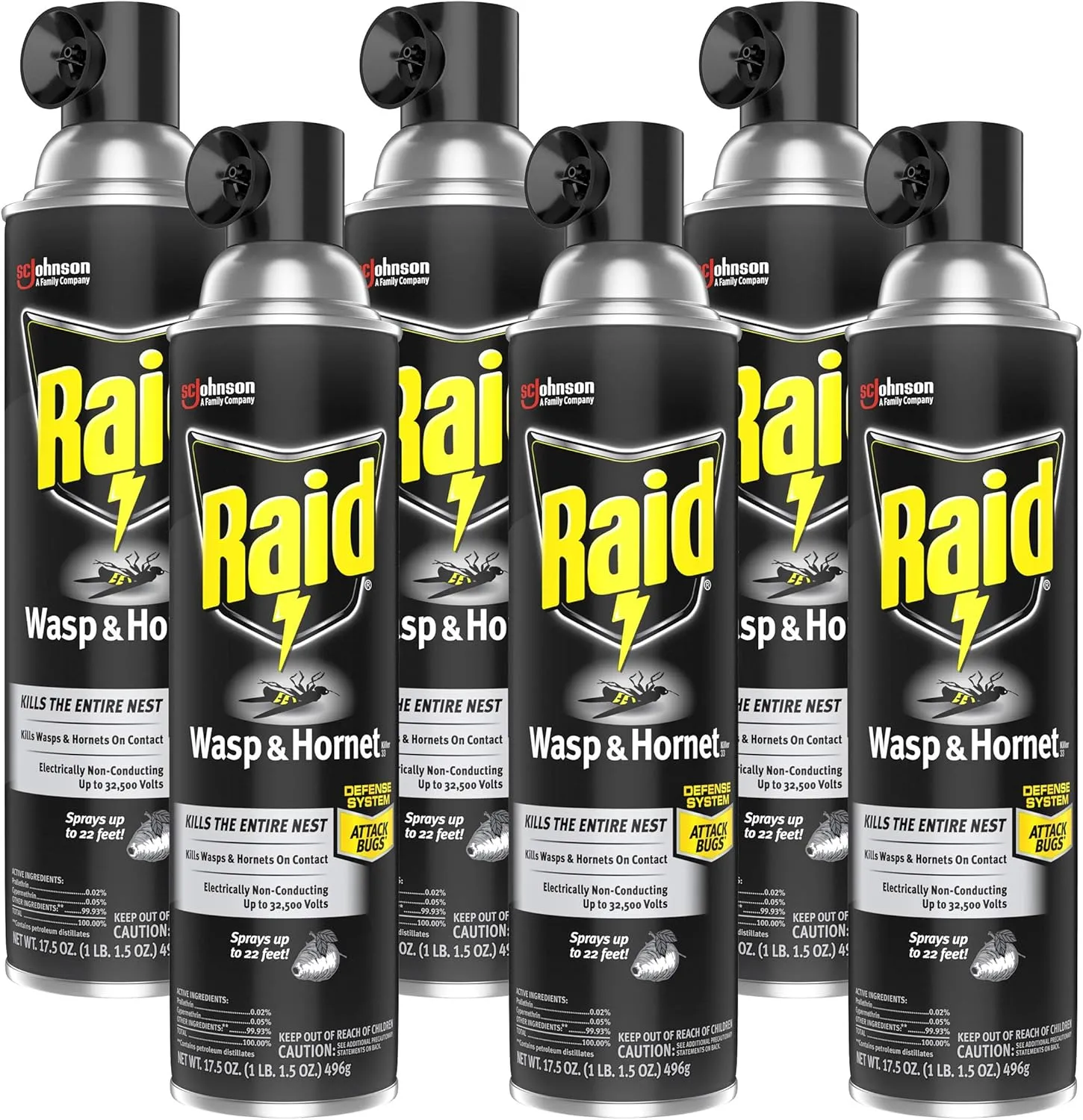 Raid Wasp and Hornet Killer Variation (17.5 Ounce (Pack of 6))