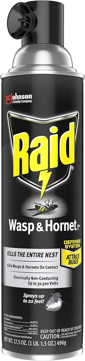 Raid Wasp and Hornet Killer Variation (17.5 Ounce (Pack of 6))