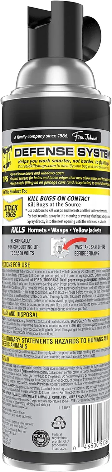 Raid Wasp and Hornet Killer Variation (17.5 Ounce (Pack of 6))