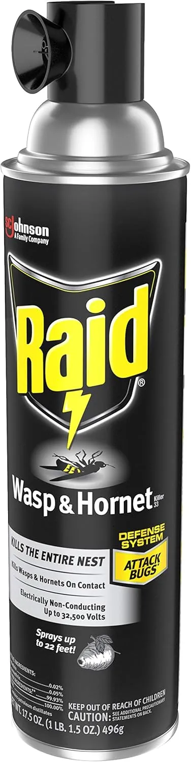 Raid Wasp and Hornet Killer Variation (17.5 Ounce (Pack of 6))