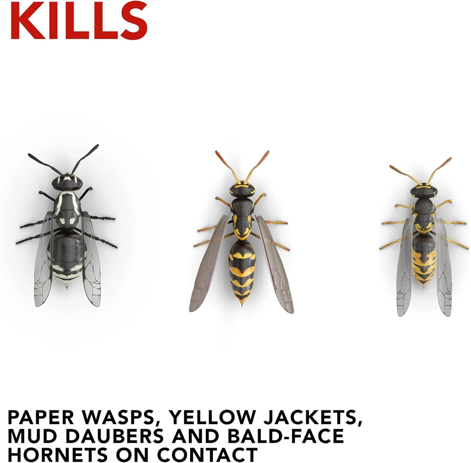 Raid Wasp and Hornet Killer Variation (17.5 Ounce (Pack of 6))