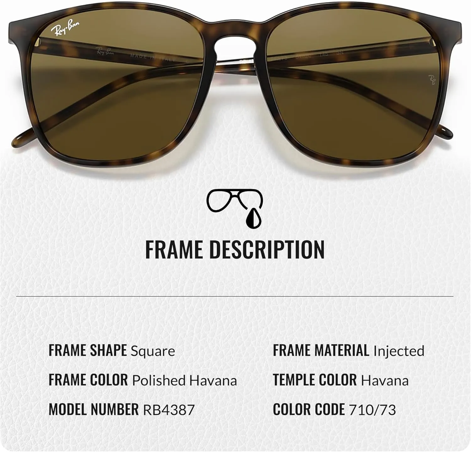 Ray-Ban RB4387 Square Shape Sunglasses for Men & Women With Eyewear Kit Bundle- Timeless Classic Sun Glasses
