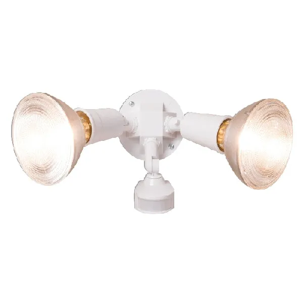 Security Flood Light