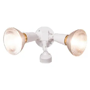 Security Flood Light