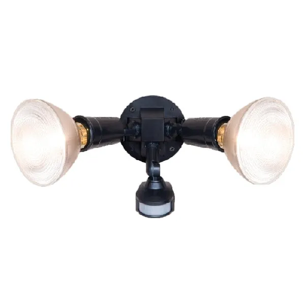 Security Flood Light