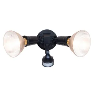 Security Flood Light
