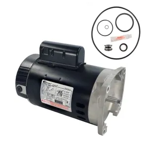 Sta-Rite SuperMax .75HP PHK2RA6D-101L Replacement Motor Kit AO Smith B2852 w/ GO-KIT-78