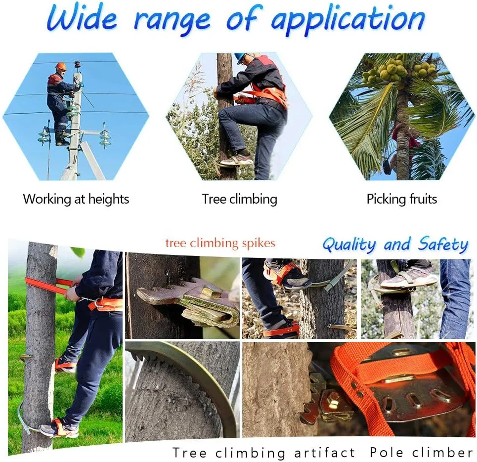 Tree Climbing Tool, Stainless Steel Professional Climbing Tree Spikes with Safe Belt, Tree Climbing Gear Kit for Hunting Observation, Picking Fruit,450model