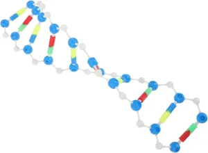 VICASKY 5pcs Educational DNA Model Plastic Double Helix Gene Engine Human Body DNA Assembling Model Suite DIY Double Helix Model Teaching Components Model, As Shownx5pcs, IZ518Y1284HH